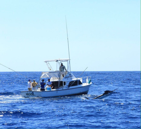 Excursión de pesca día completo photo 2